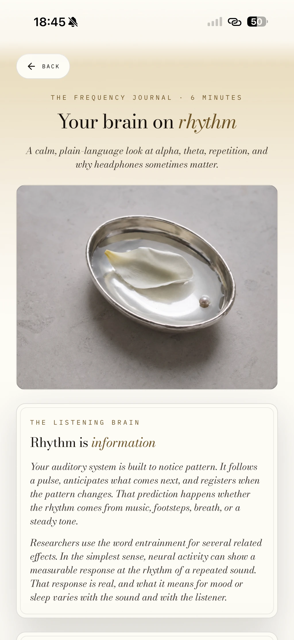 A pale petal and a single pearl on a reflective silver dish.